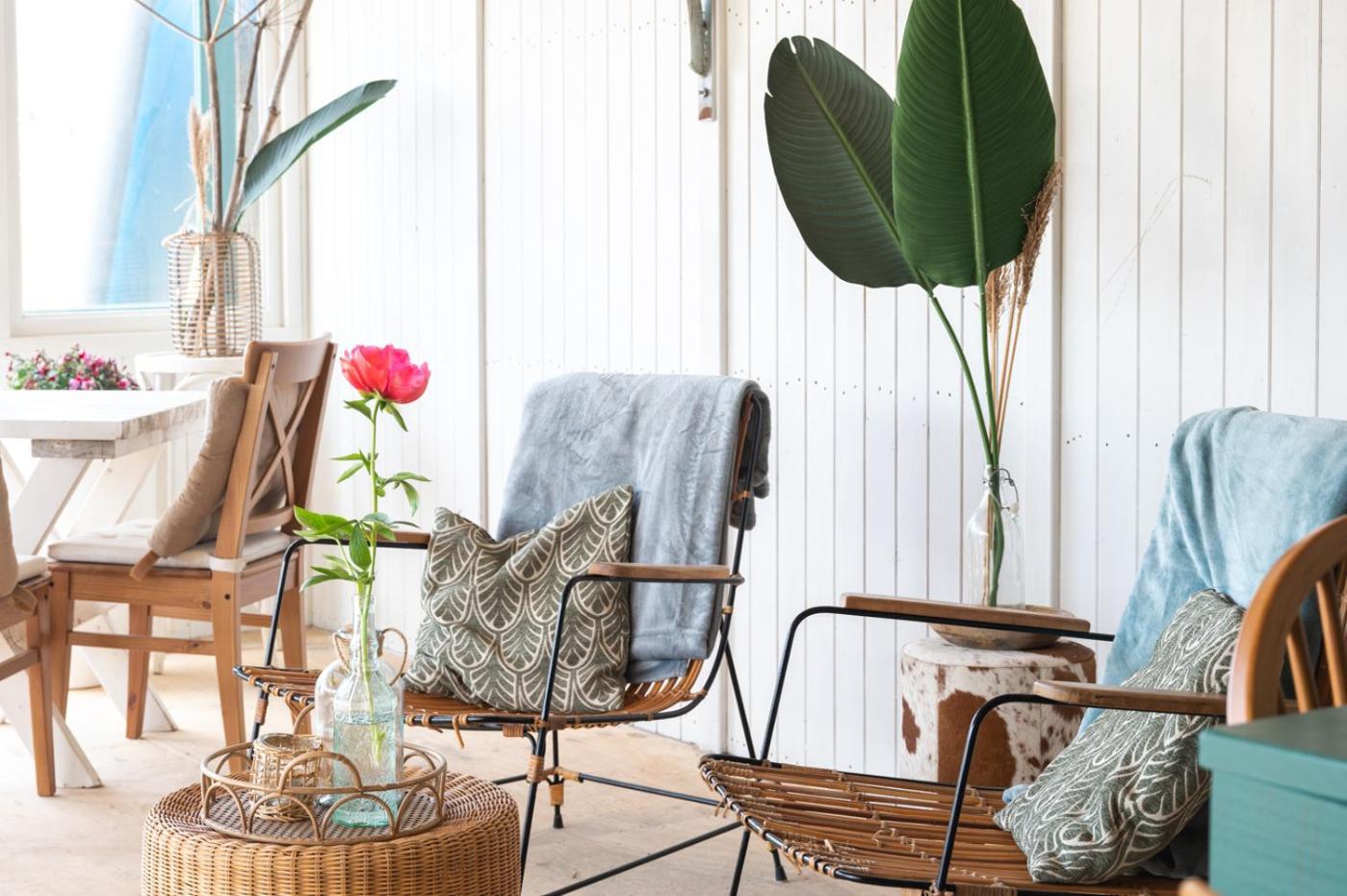 Rijk Aan Zee Ecolodges Wijk aan Zee Exteriör bild